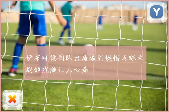 伊布对德国队出局感到惋惜点球大战的残酷让人心痛